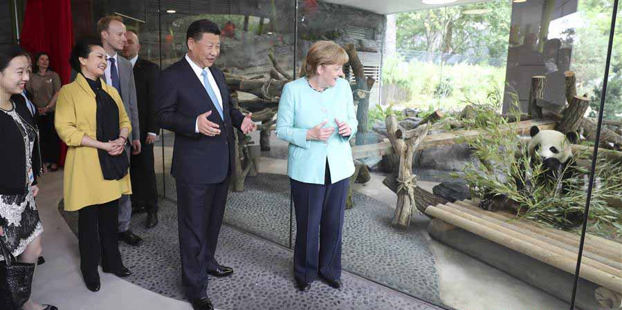 Xi e Merkel inauguram jardim de panda em zoológico de Berlim