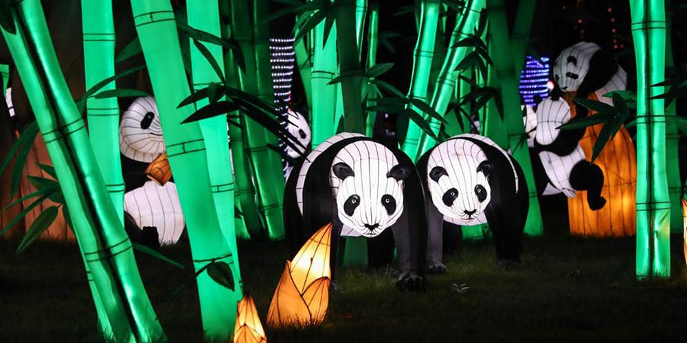 Estrangeiros apreciam cultura chinesa durante festival de lanternas em Hamburgo