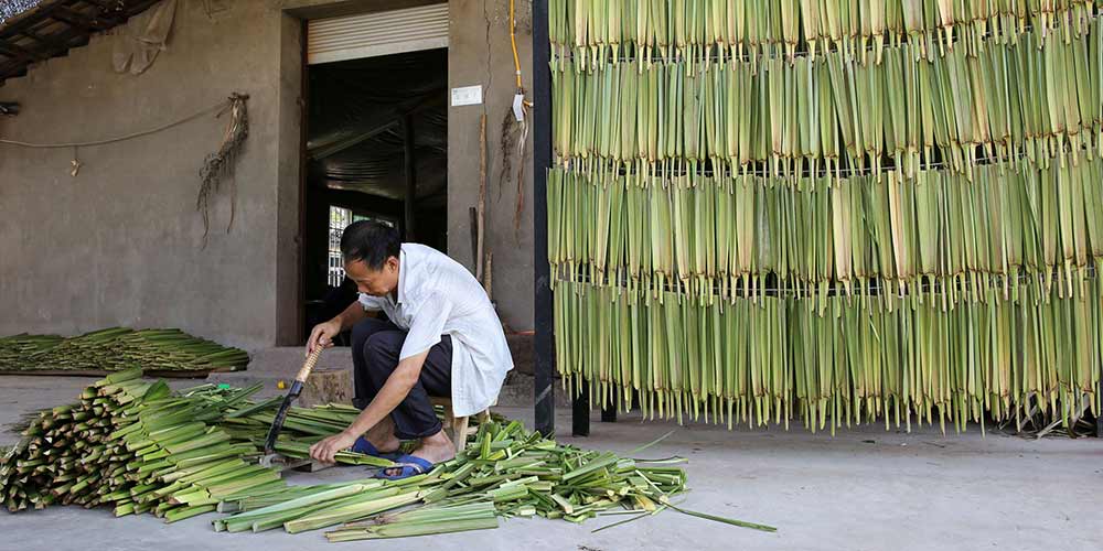 Aldeões produzem abanadores feitos de palmeira em Sichuan