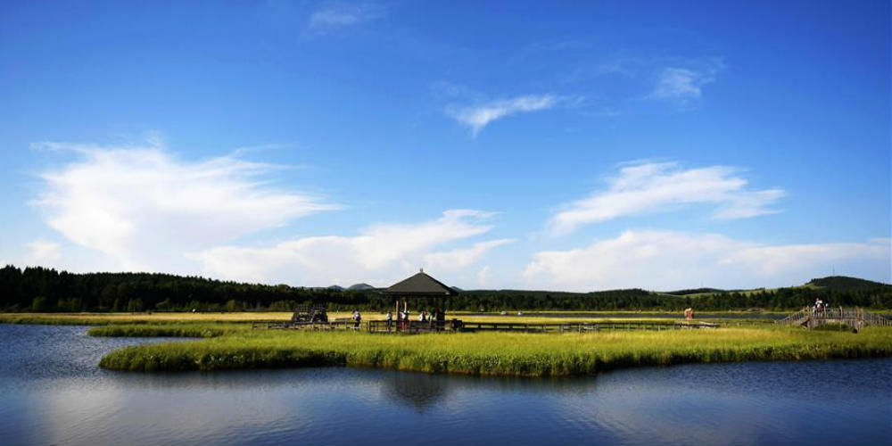 Turistas aproveitam paisagem do Parque Florestal Nacional de Saihanba, no norte da China