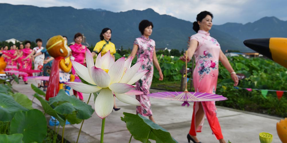 Apresentação de cheongsam é realizada em lagoa de lótus em Sichuan, no sudoeste da China