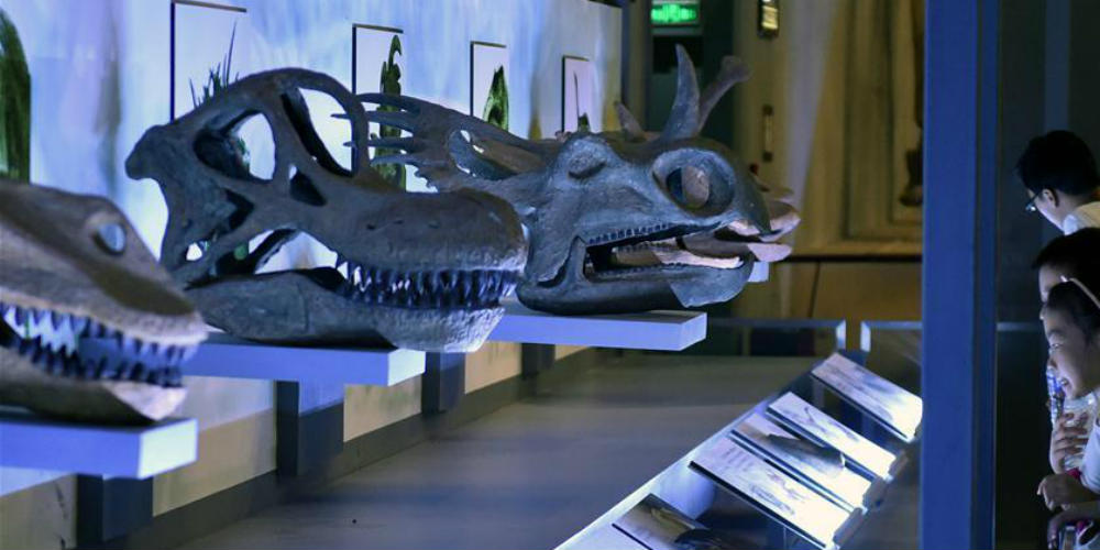 Parque de reliquias de dinossauro em Henan