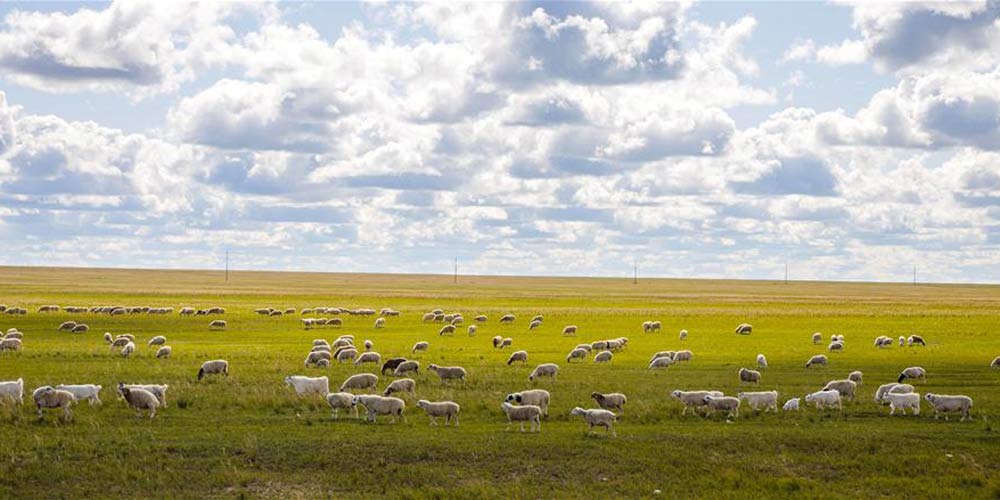 Pastagens em Hulun Buir, Região Autônoma da Mongólia Interior