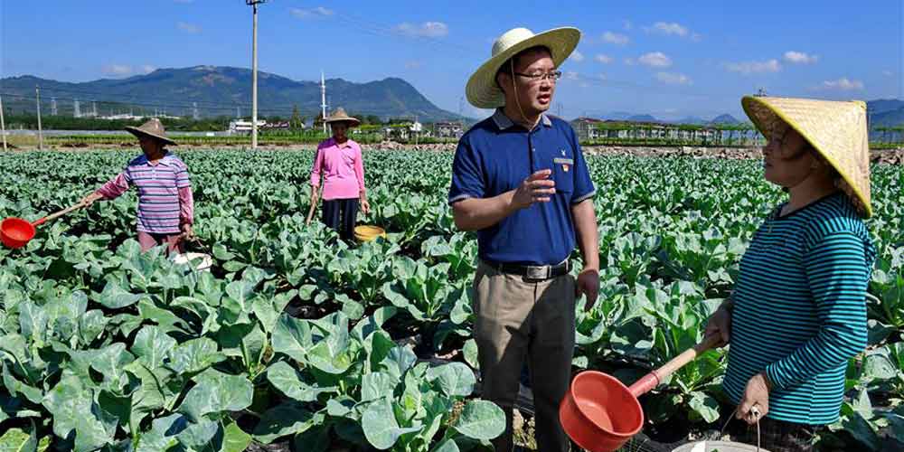 Acelerado desenvolvimento de agricultura moderna e turismo rural no sudeste da China