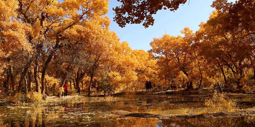 Paisagens deslumbrantes de outono em toda a China