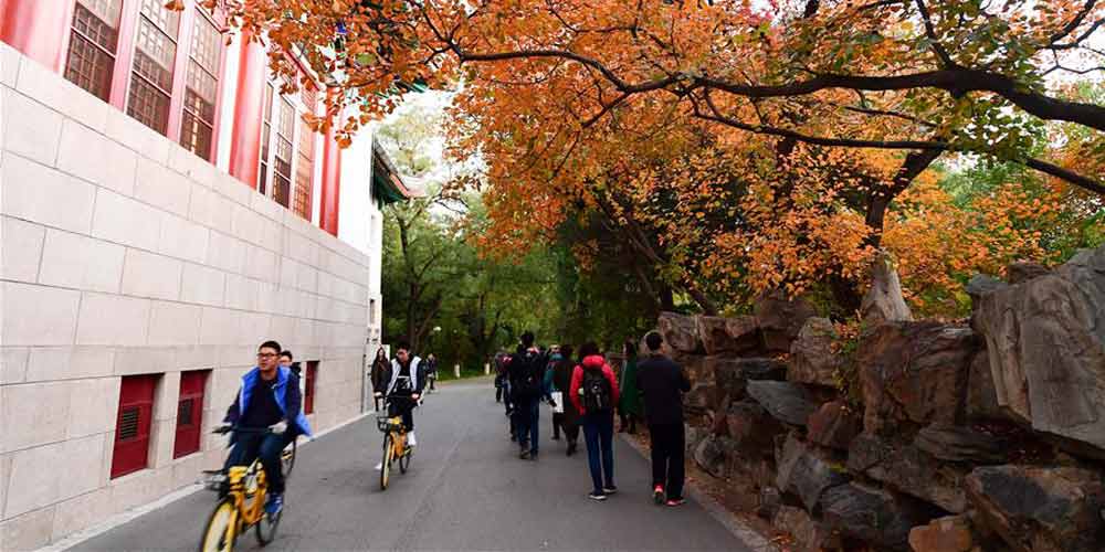 Paisagem de outono na Universidade de Pequim