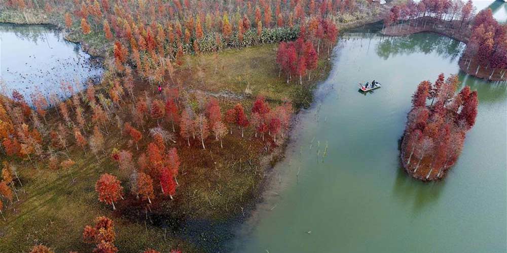 Paisagem de inverno de lago Tianquan em Jiangsu