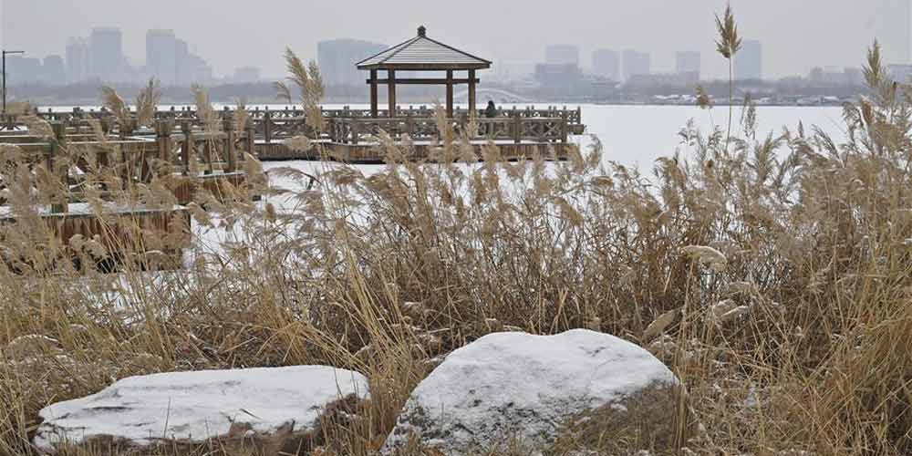 Paisagem de neve no Parque Baotuquan em Jinan