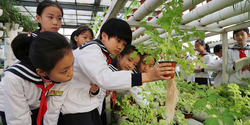 Pavilhão botânico construído em escola em Shandong