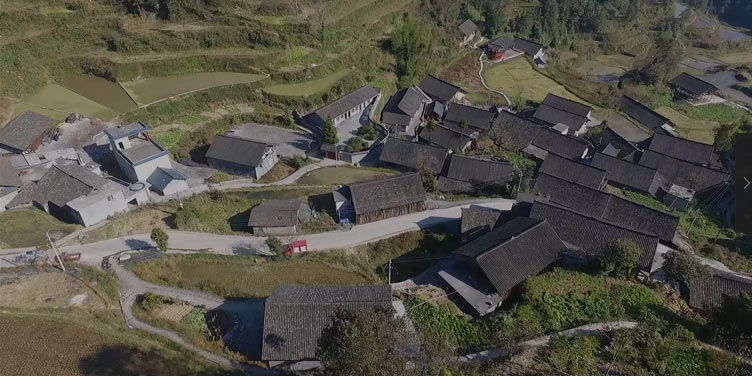 "Produtores de Cultura" da Academia Milenar