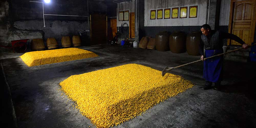 Produção de cachaça de milho pelo povo da etnia Tujia em Hubei