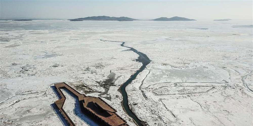 Baixas temperaturas formam gelo marinho em Liaoning