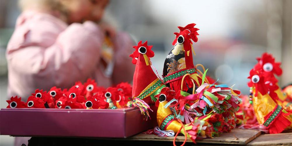 "Galos da Primavera" trazem boa sorte para o Ano Novo em Shandong