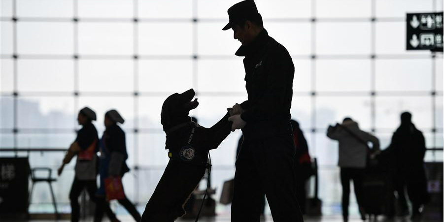 Cão policial patrulha estação ferroviária para garantir segurança dos passageiros durante o Chunyun
