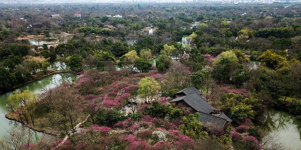 Vista aérea do Parque Nacional do Pantanal Xixi em Hangzhou