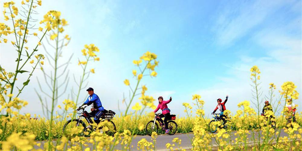 Turismo rural: parte crucial das estratégias de revitalização rural da China