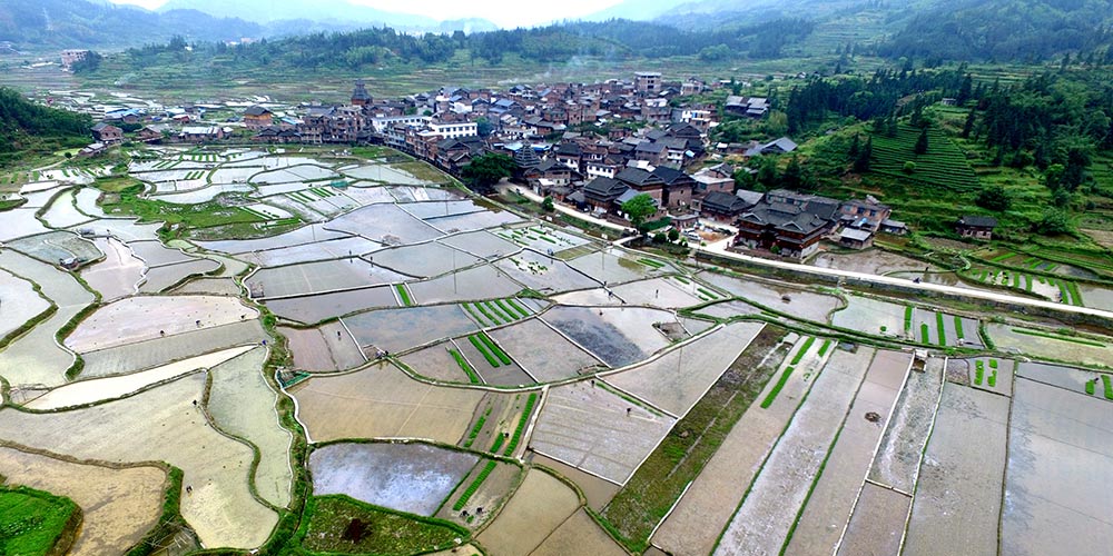Cenário de arrozais e vilarejos em Hubei, centro da China