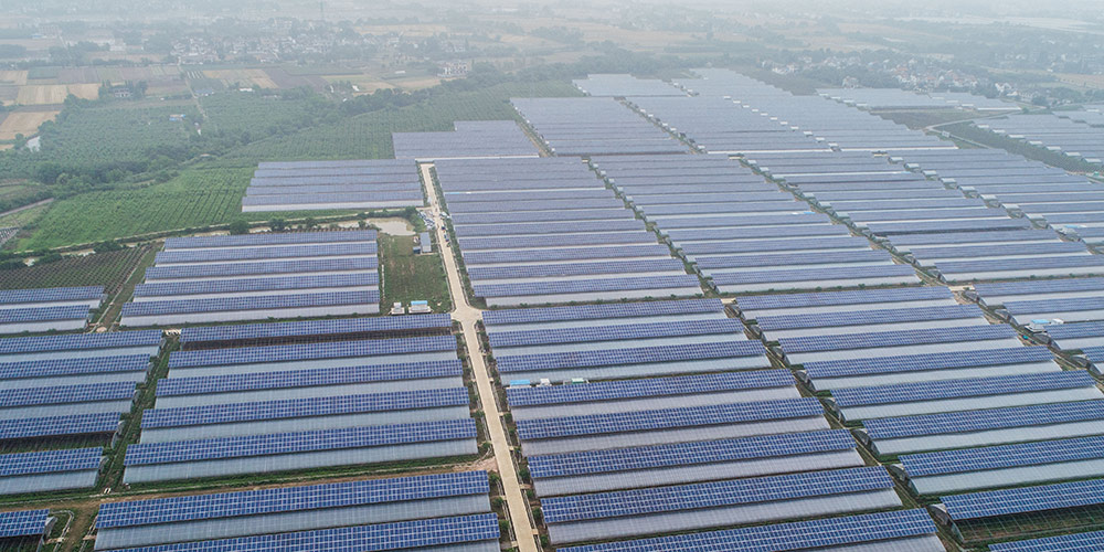 Estufas agrícolas fotovoltaicas geram eletricidade e aumentam renda de agricultores em Zhejiang