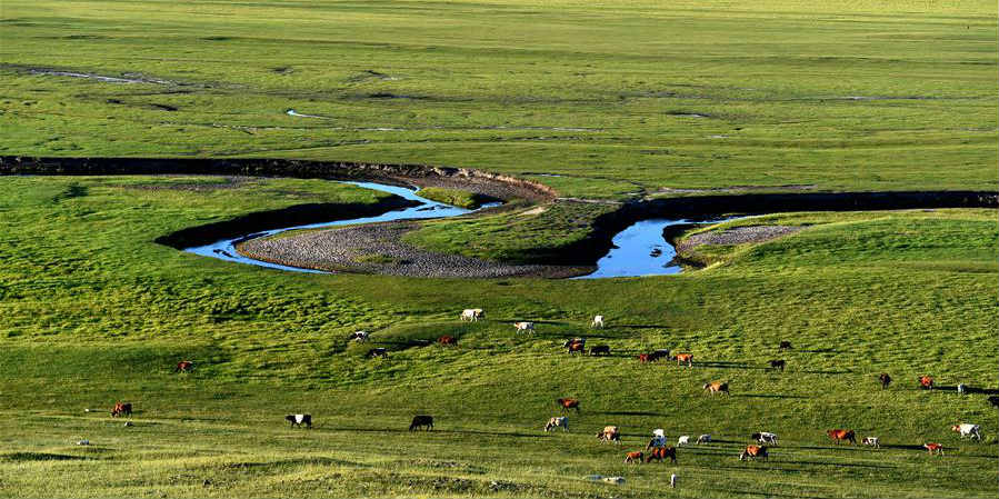Cenário de pradaria na Mongólia Interior do norte da China