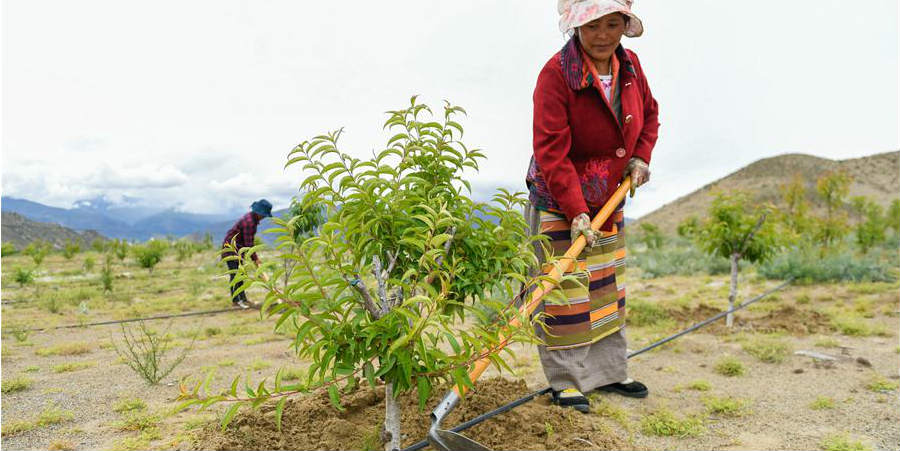 Indústria verde desenvolvida irá impulsionar economia local do Tibet, sudoeste da China