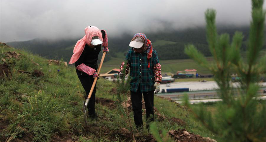 Trabalhadores promovem proteção ecológica através de reflorestamento em Hebei