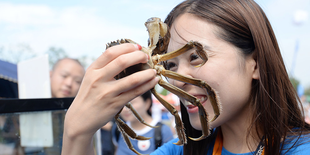 Turistas apreciam caranguejos-peludos-chineses em festival no lago Yangcheng