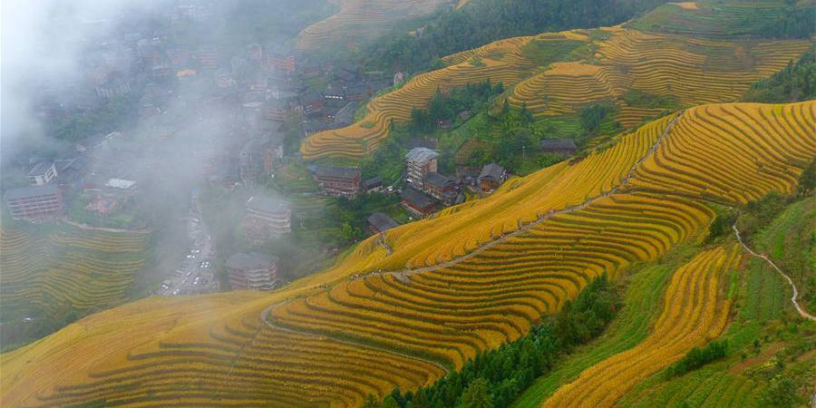 Galeria: Paisagem dos terraços em Longsheng, sul da China
