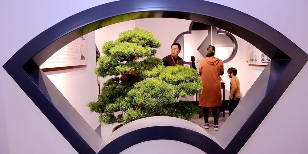 Galeria: Museu de bonsai em Rugao