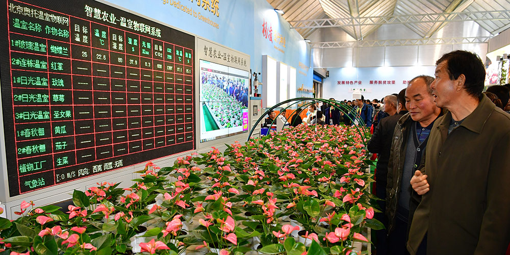25ª Feira Agrícola de Alta Tecnologia de Yangling abre em Shaanxi