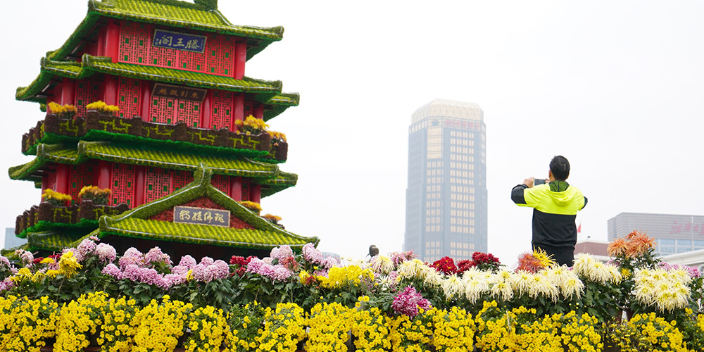 Show de crisântemos em Jiangxi exibe mais de 350 variedades de flores