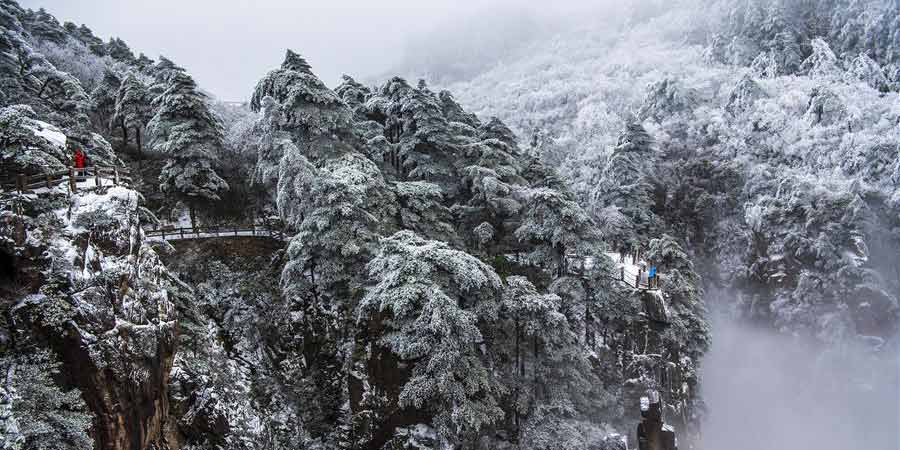 Paisagem de neve no ponto cênico de Huangshan de Anhui, leste da China