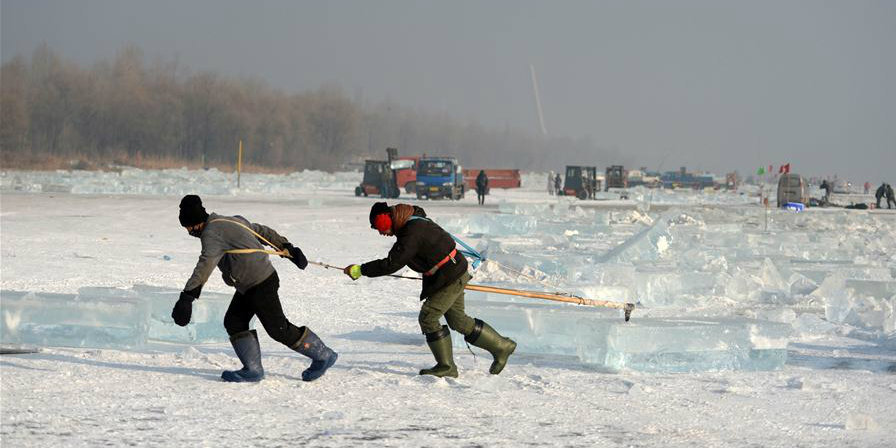 Trabalhadores coletam gelo do rio Songhua em Harbin