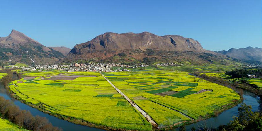 Fotos: Flores de colza às margens do rio Jiulong em Yunnan