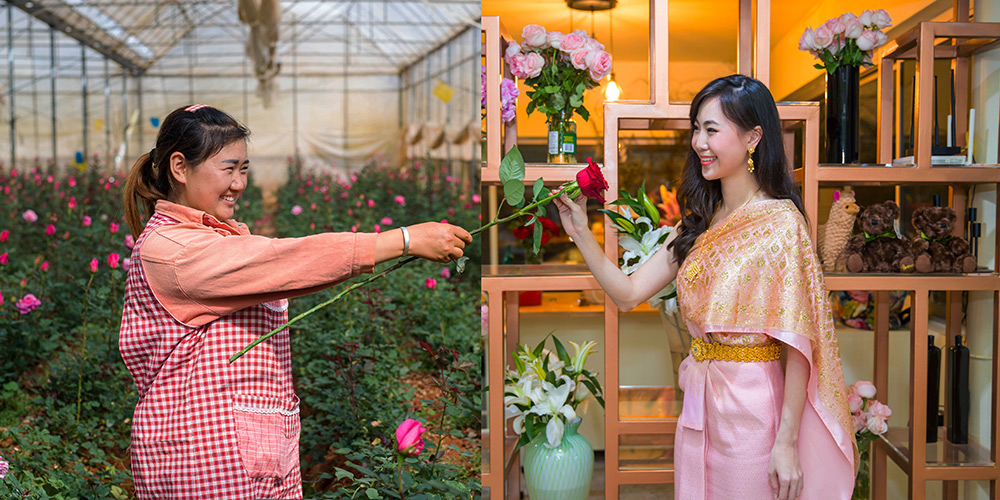 Autoestrada Kunming-Bangkok facilita comércio de flores entre China e Tailândia