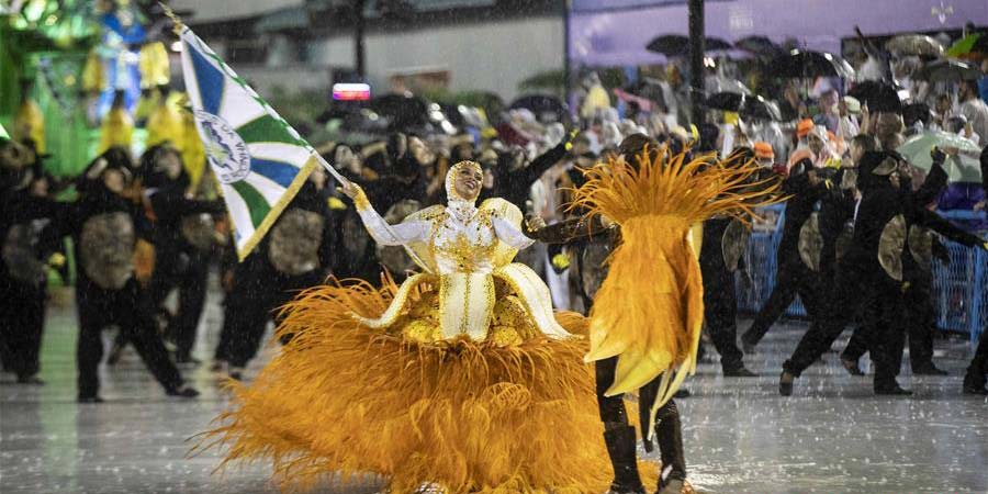 Destaques do Carnaval do Rio de Janeiro 2019