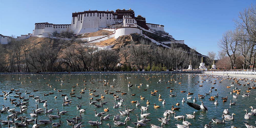 Paisagem da primavera em Lhasa, Tibet, sudoeste da China
