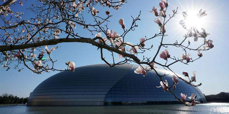 Fotos: Primavera em Beijing