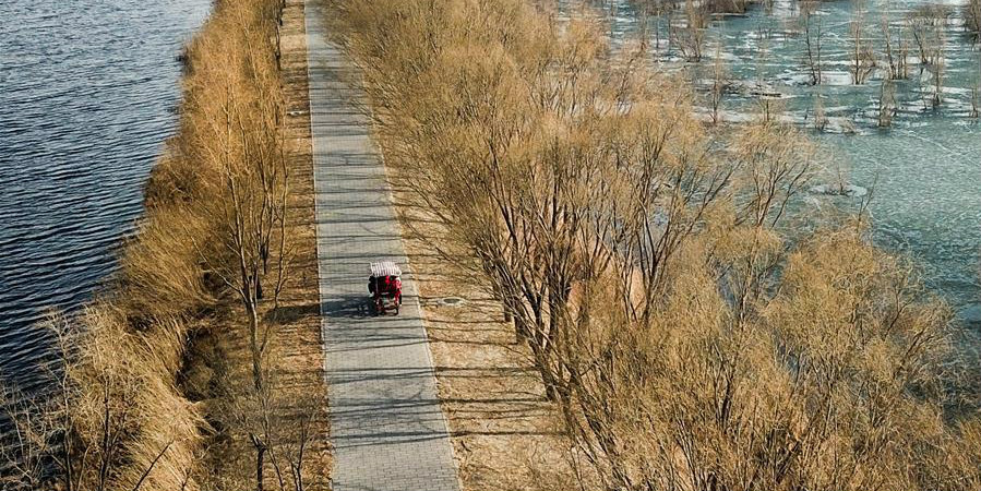 Parque Nacional do Pântano do Lago do Ganso Selvagem em Beijing reabre após férias de inverno