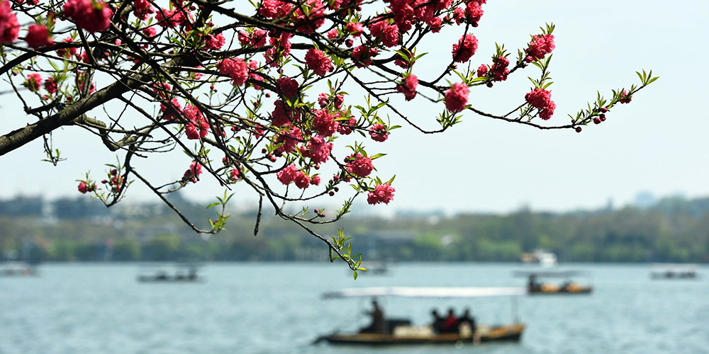 Chineses passam tempo de lazer ao ar livre no início da primavera