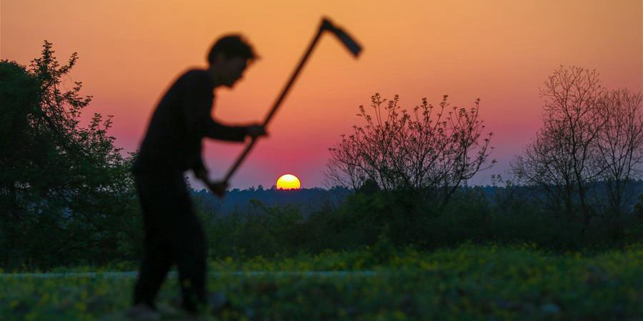Agricultores chineses trabalham na primavera