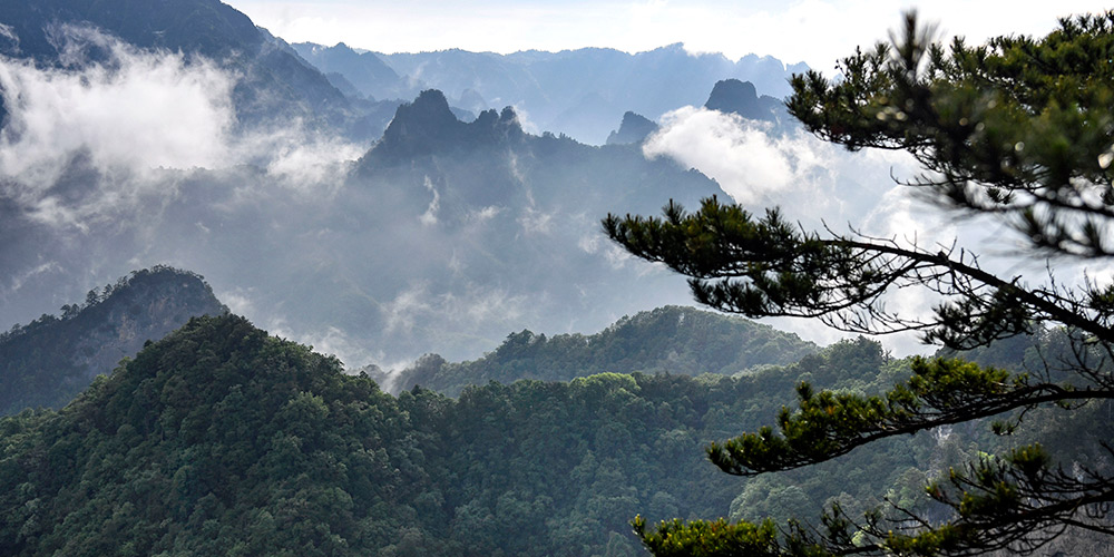 Paisagem do Parque Florestal Nacional Wulongdong em Shaanxi