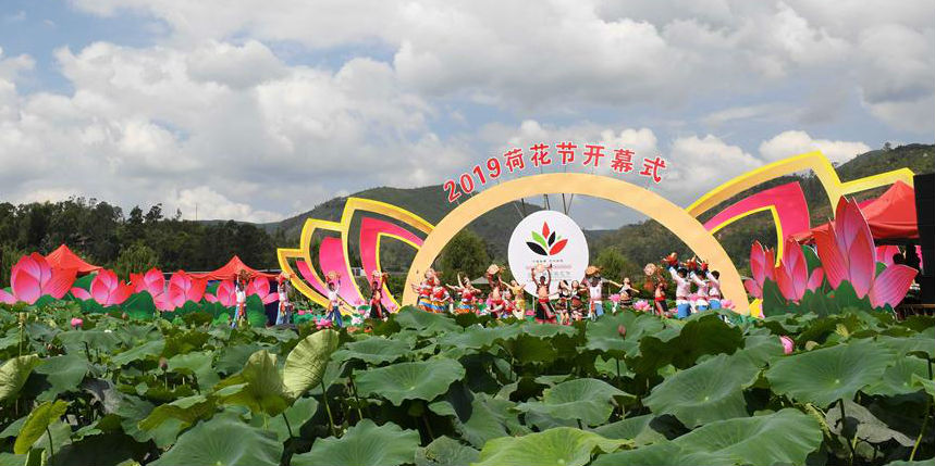 Festival com destaque em lótus é realizado em Yao'an, Yunnan