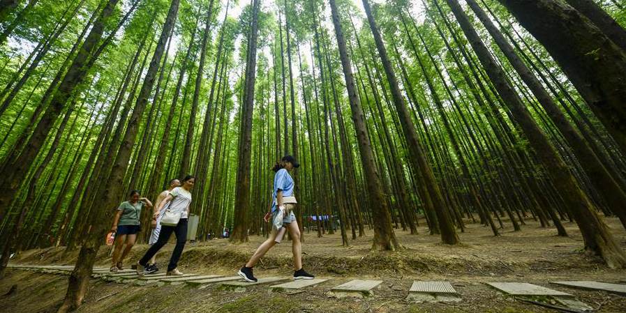 Turistas visitam o Parque Ecológico Nacional de Montanhas de Carste de Shanwangping em Chongqing, sudoeste da China