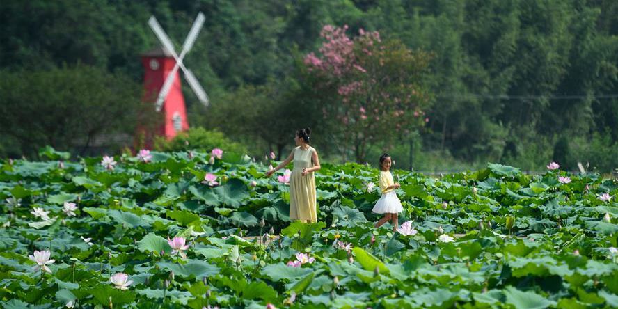 Resort turístico de lazer aumenta o rendimento dos agricultores na província de Zhejiang