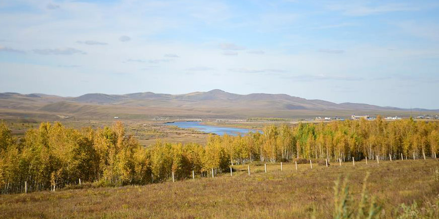 Paisagem de outono em Ergun na Mongólia Interior, norte da China