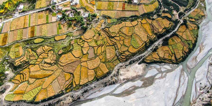 Vistas aéreas mostram colheitas em toda a China