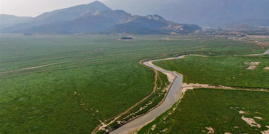 Poyang, maior lago de água doce da China entra na estação seca
