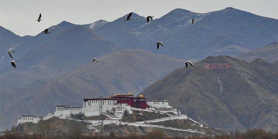 Paisagem do pântano Lhalu em Lhasa no Tibet, sudoeste da China