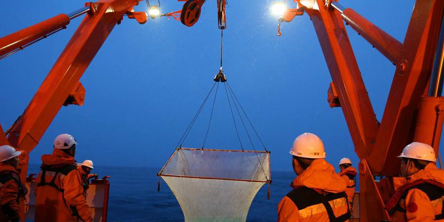 Equipe da 36ª expedição antártica da China realiza coleta de amostras de peixe