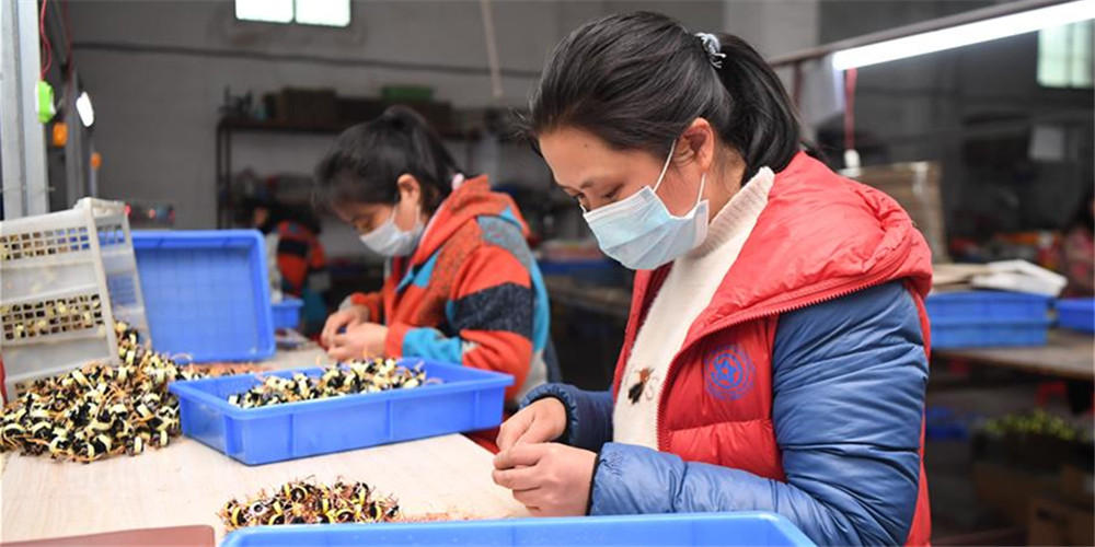 Oficinas destinadas ao alívio da pobreza retomam produção em Hunan